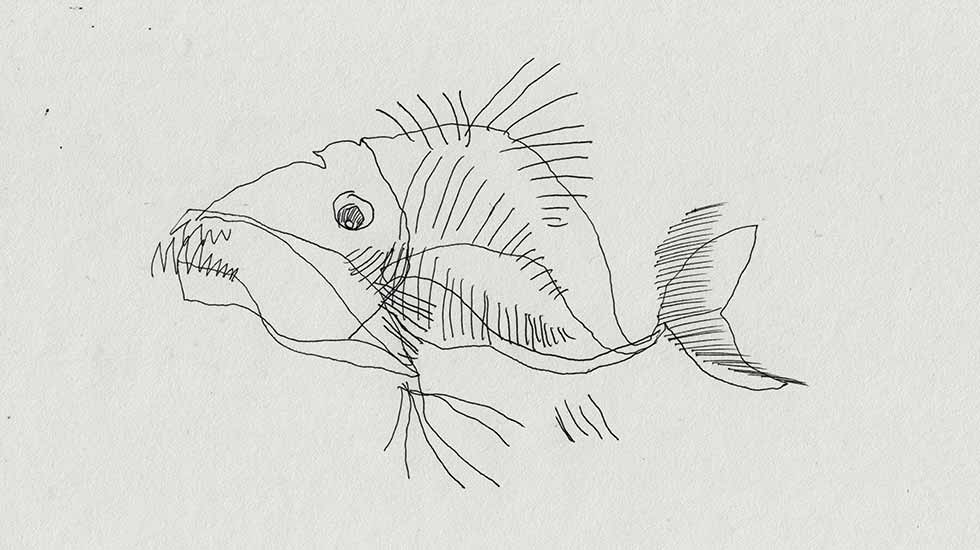 Strange Fish (Steven Subotnick )